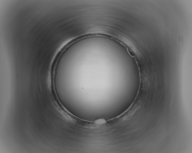 X0000111951076200908031153