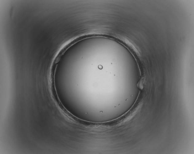 X0000111951077200908031153