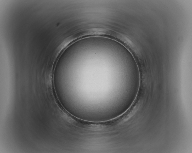 X0000111951081200908031153
