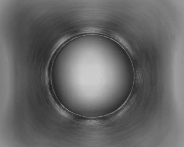 X0000111951082200908031153