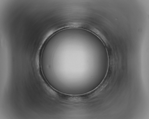 X0000111951083200908031153