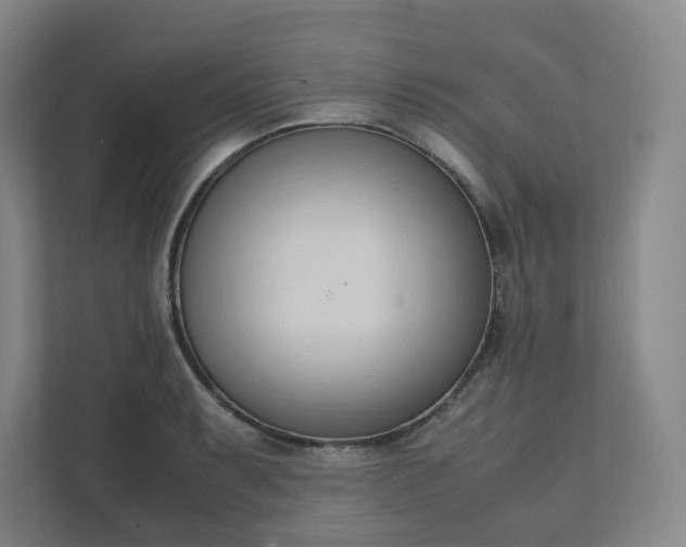X0000111951087200908031153