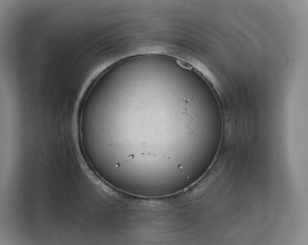 X0000111951088200908031153