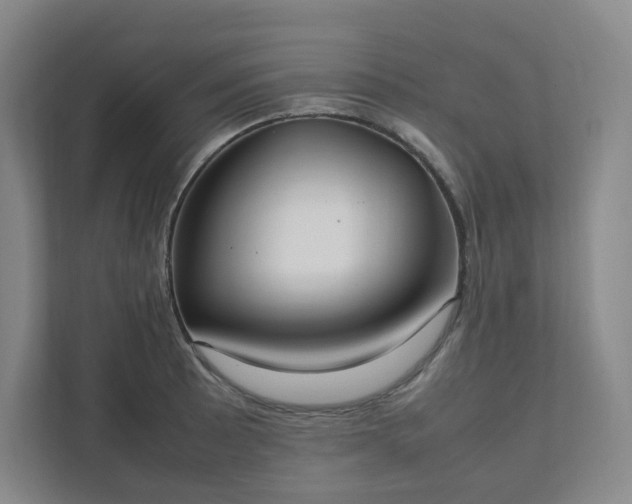 X0000111951089200908031153