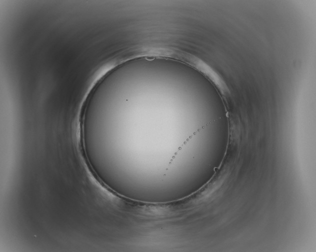 X0000111951095200908031153