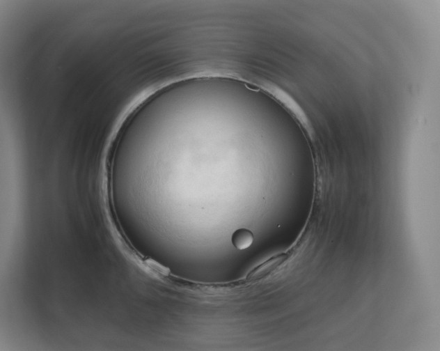 X0000111951096200908031153