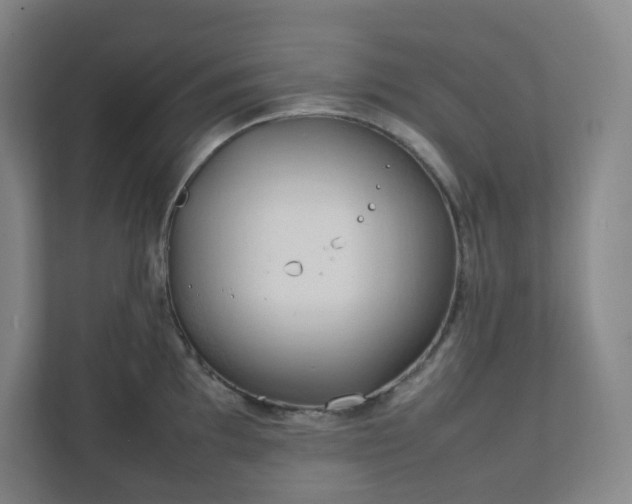 X0000111951097200908031153