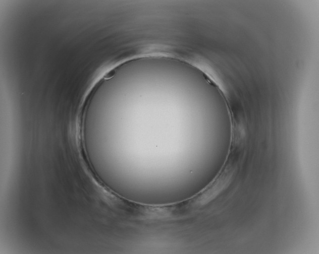 X0000111951101200908031153