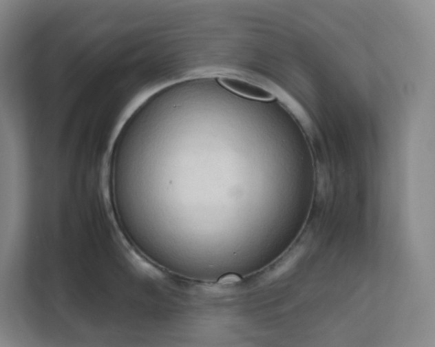 X0000111951102200908031153