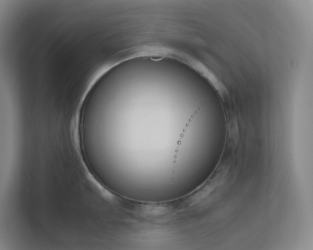 X0000111951103200908031153
