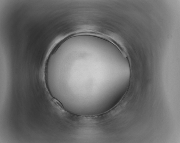 X0000111951104200908031153