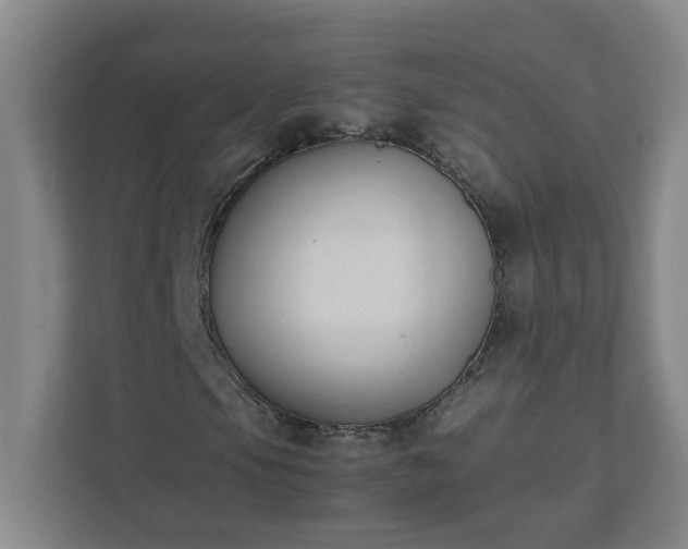 X0000111951105200908031152