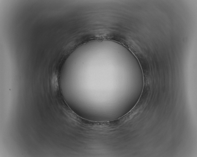 X0000111951106200908031152
