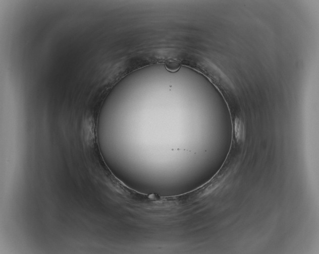 X0000111951107200908031152