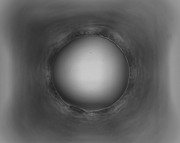X0000111951109200908031152
