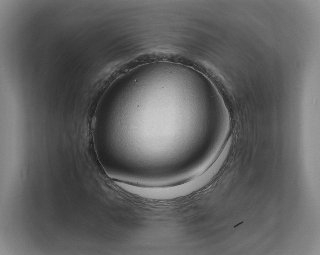 X0000111951110200908031152