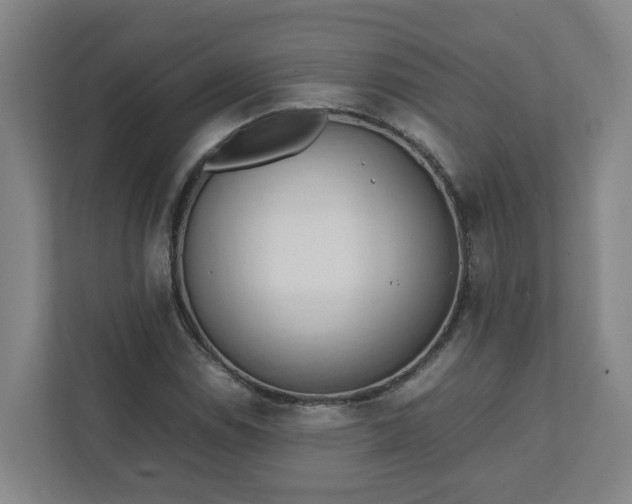 X0000111951114200908031152