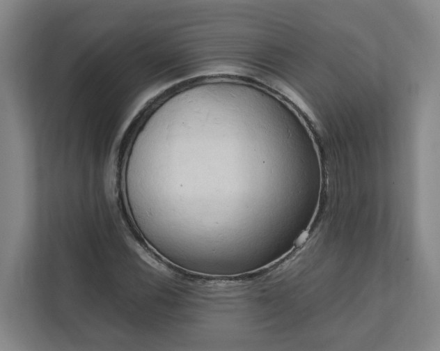 X0000111951116200908031152