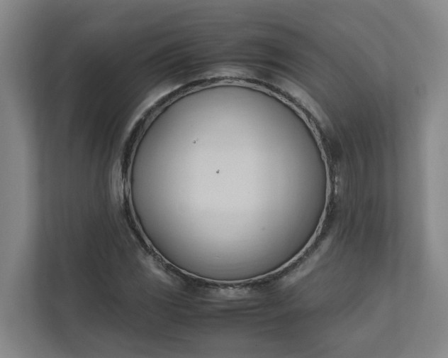 X0000111951117200908031152