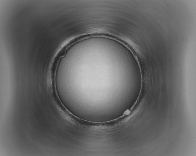 X0000111951118200908031152