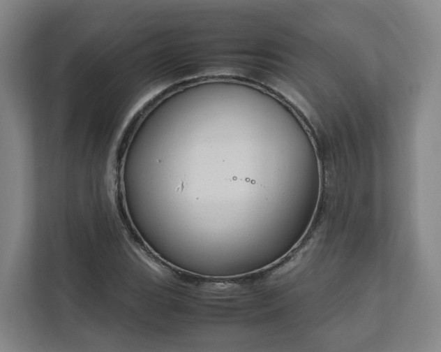 X0000111951119200908031152