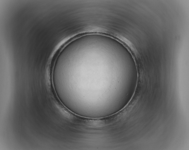 X0000111951120200908031152