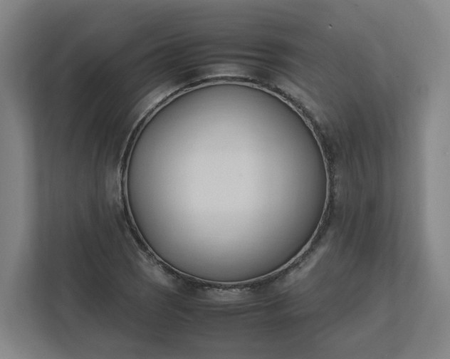 X0000111951121200908031152