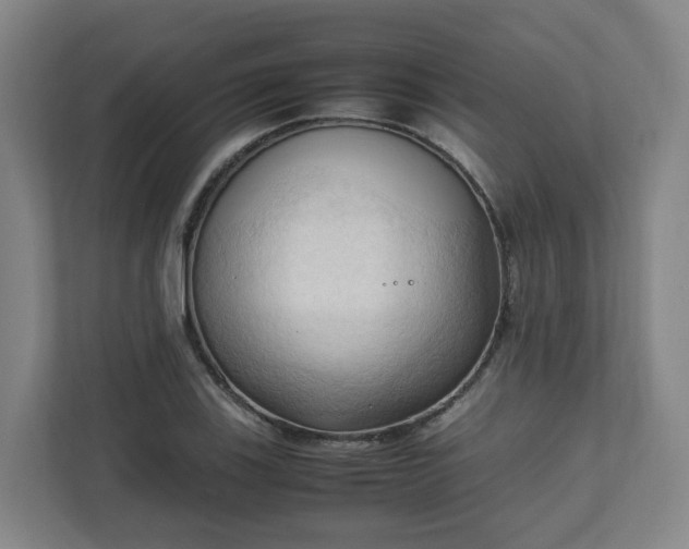 X0000111951123200908031153