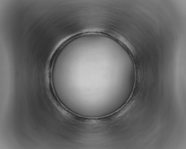 X0000111951124200908031153