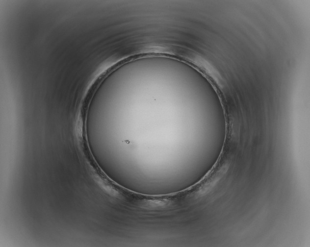 X0000111951125200908031153