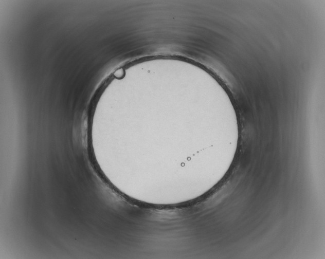 X0000111951126200908031153