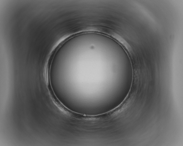 X0000111951127200908031153