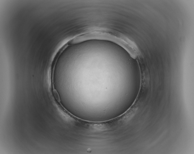 X0000111951128200908031153