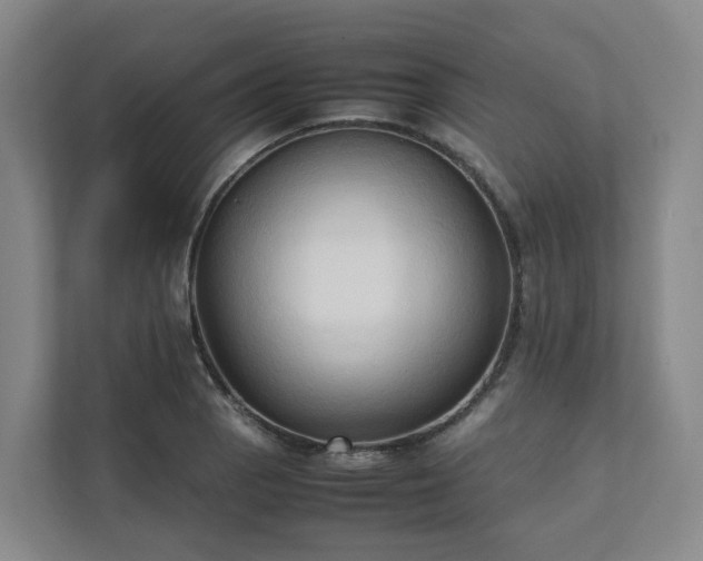 X0000111951129200908031153
