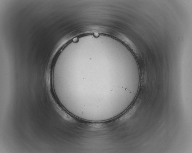 X0000111951130200908031153