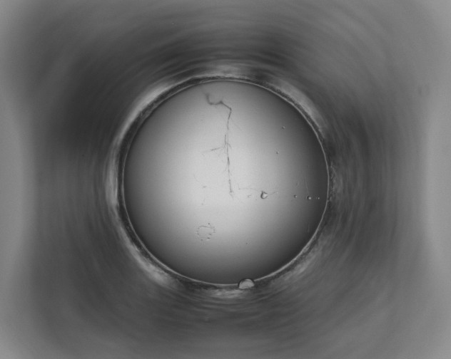 X0000111951131200908031153
