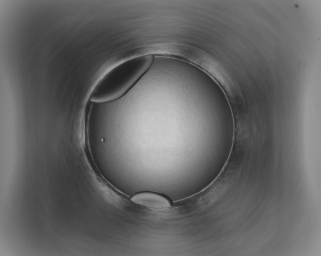X0000111951132200908031153