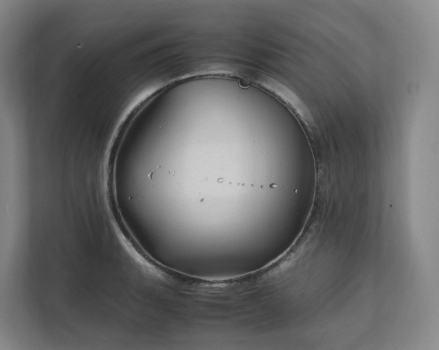 X0000111951135200908031153
