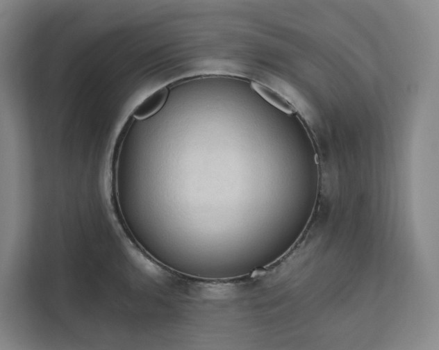 X0000111951136200908031153
