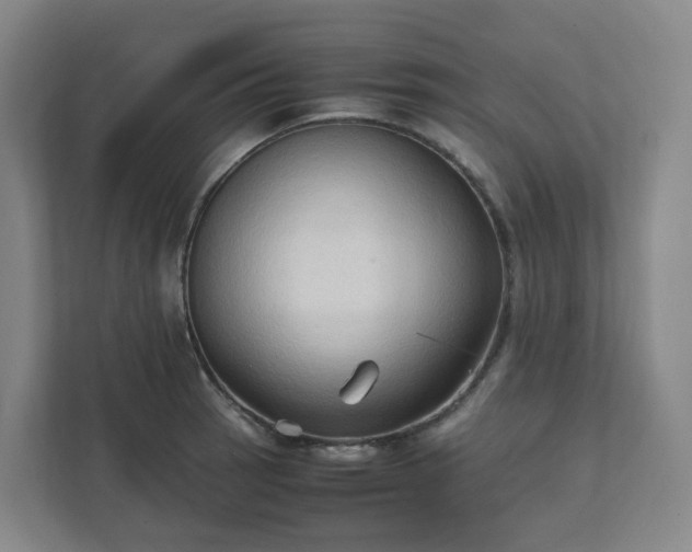 X0000111951137200908031153