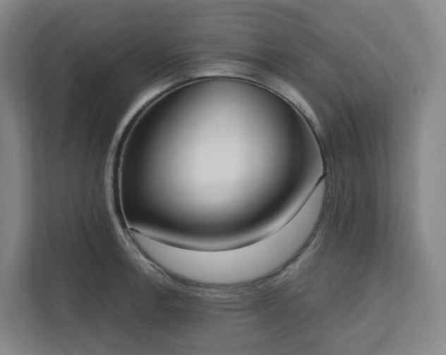 X0000111951138200908031153