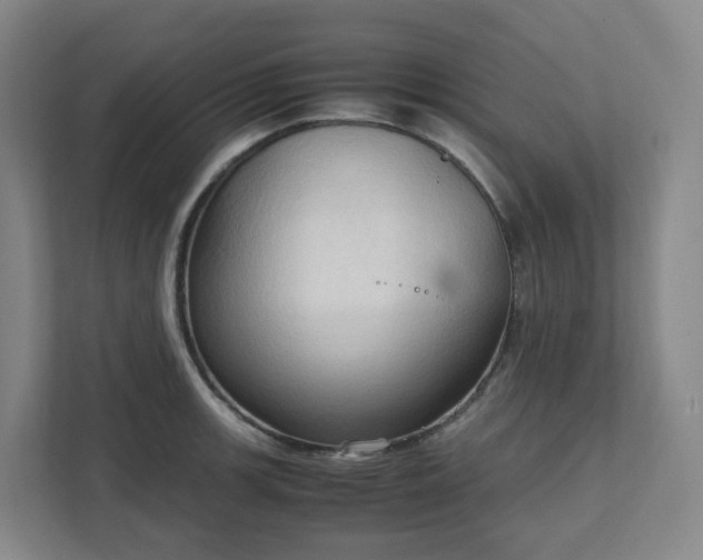 X0000111951139200908031153