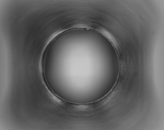 X0000111951141200908031153