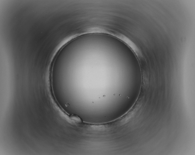 X0000111951142200908031153