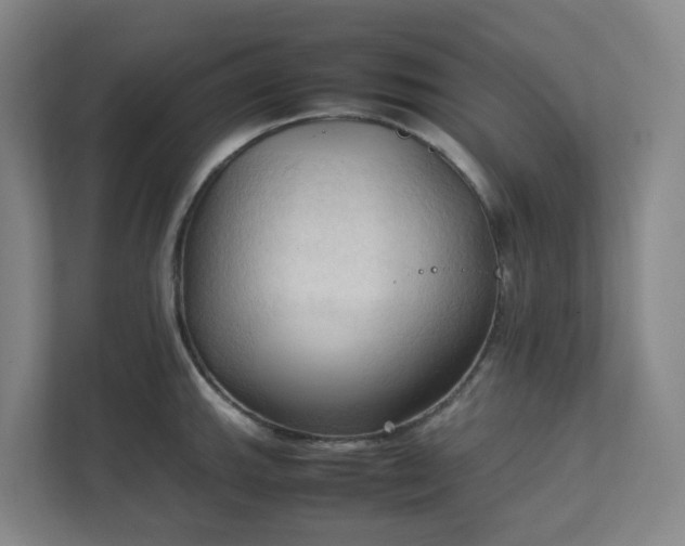 X0000111951143200908031153