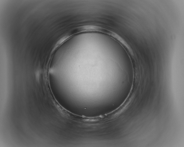 X0000111951145200908031153