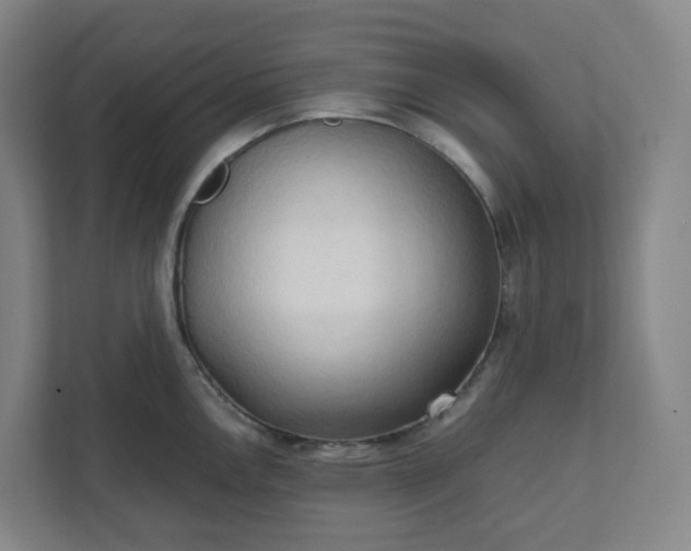 X0000111951146200908031153