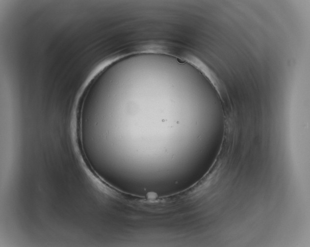 X0000111951147200908031153