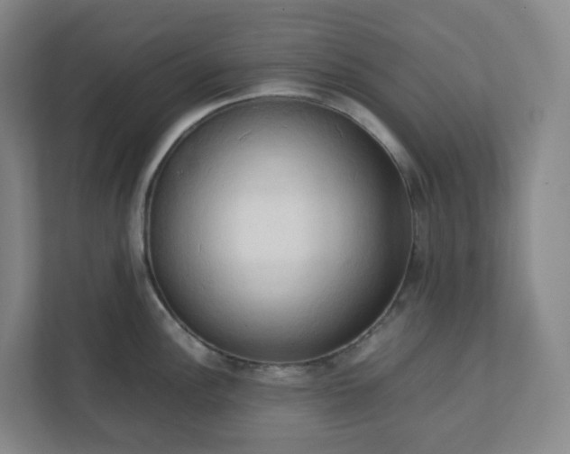 X0000111951148200908031153