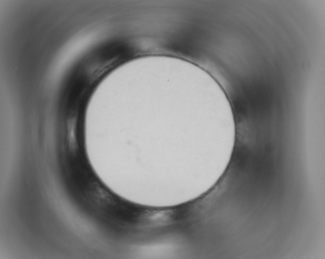 X0000111951150200908031153